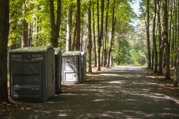 Best Porta potty rental near me  in Chilhowie, VA